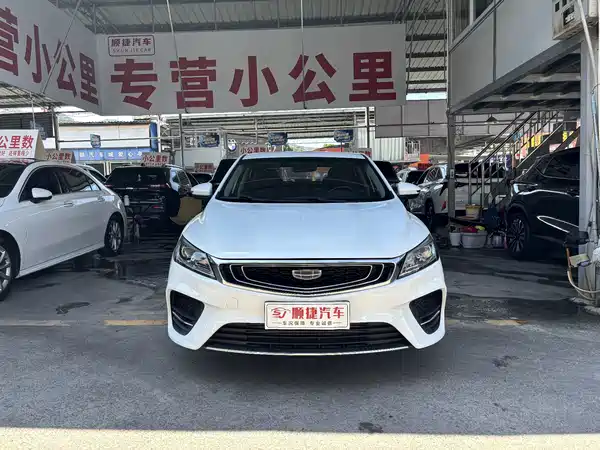 Geely Binrui 2021