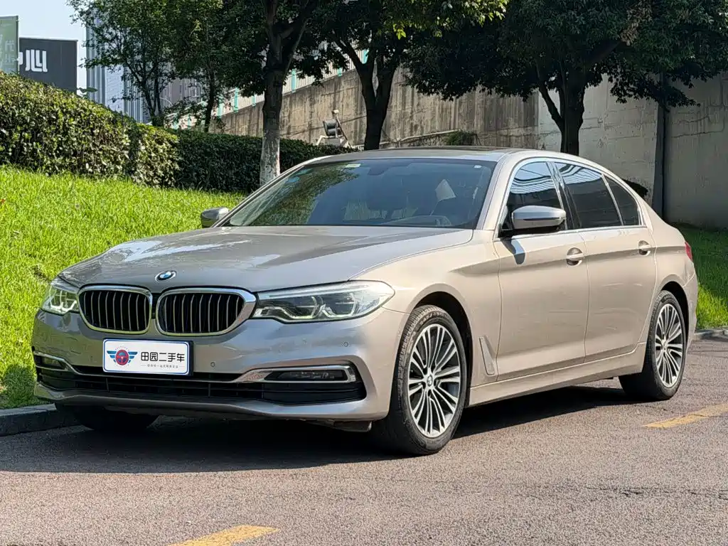 BMW 5 Series 2019