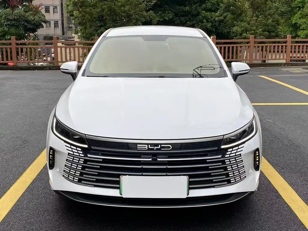 BYD Destroyer 05 2023 — фото 2