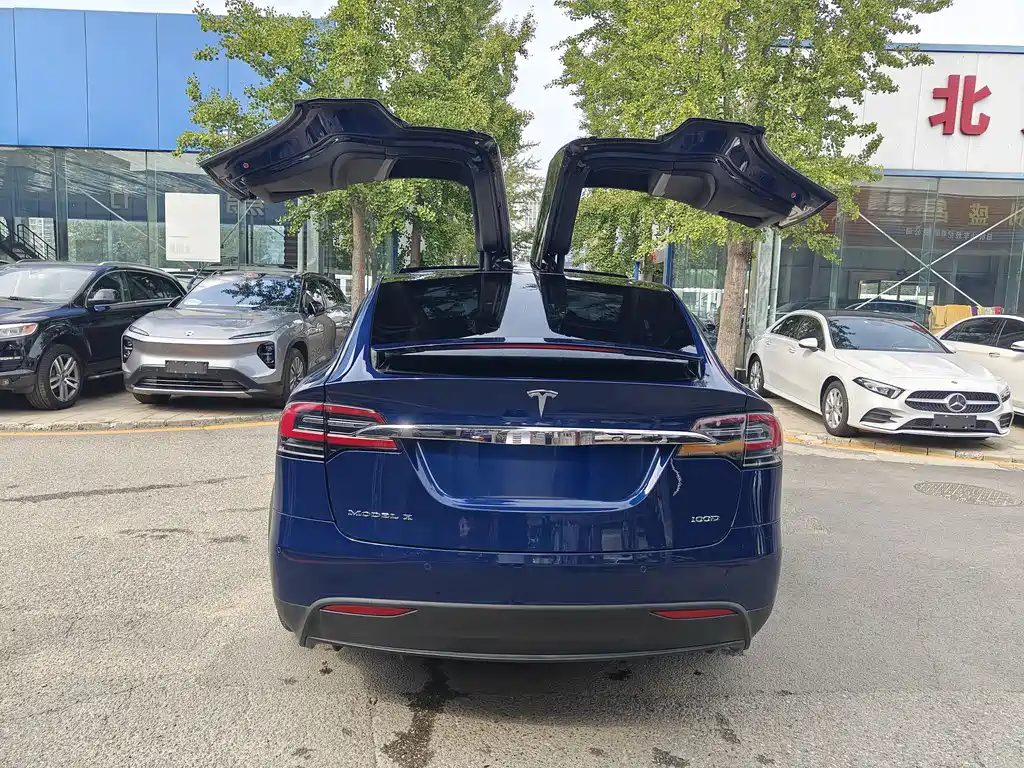 Tesla Model X 2019 — фото 8