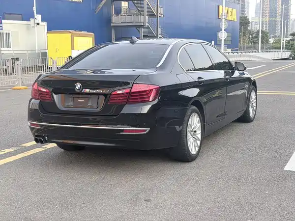 BMW 5 Series 2014