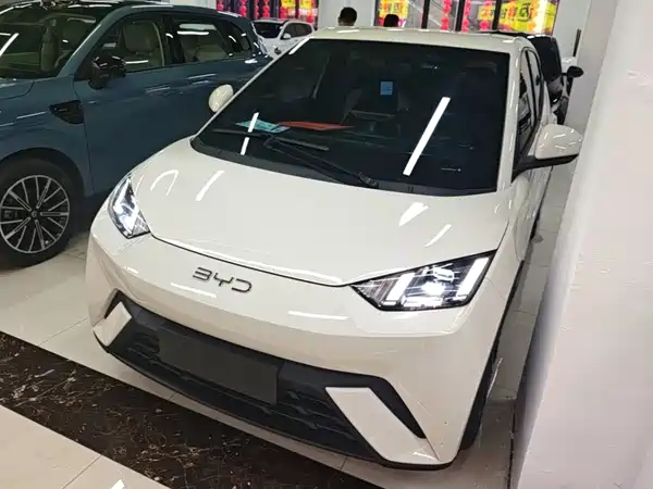 BYD Seagull 2024