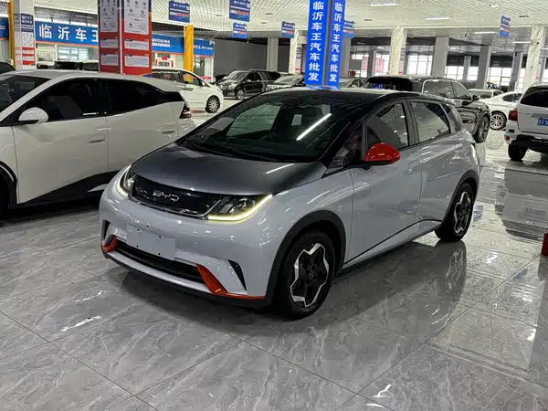 BYD Dolphin 2022
