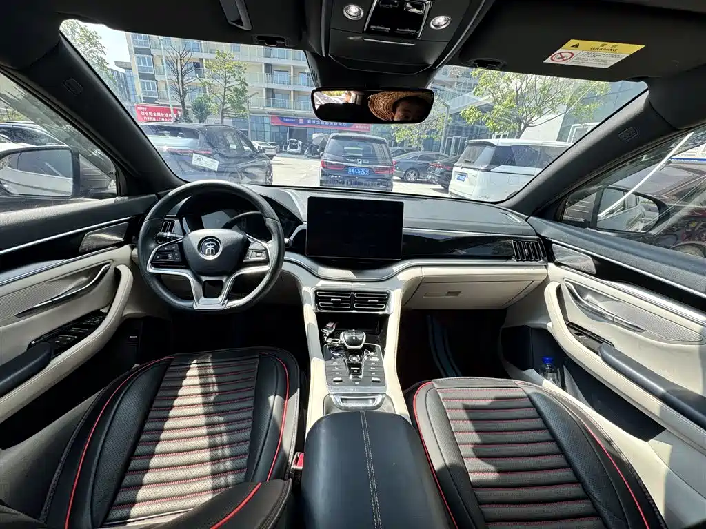 BYD Song PLUS New Energy 2023 — фото 6