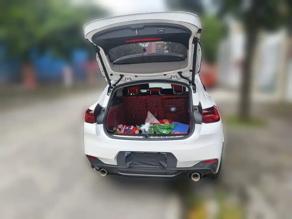 BMW X2 2023 — фото 10
