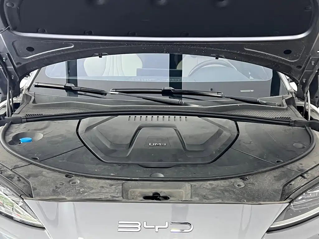 BYD Song PLUS New Energy 2024 — фото 4