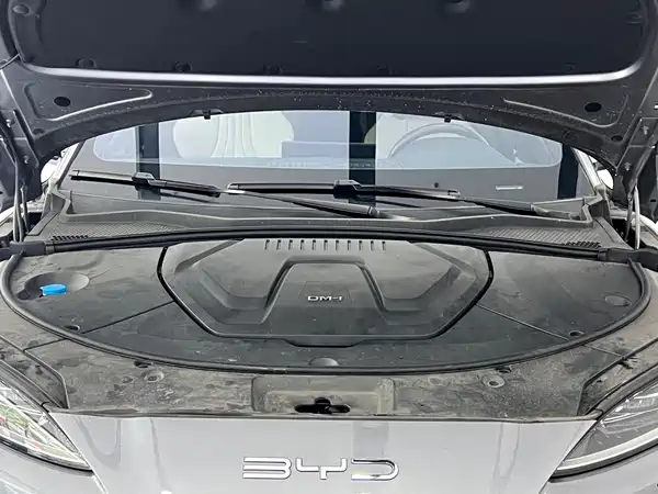 BYD Song PLUS New Energy 2024