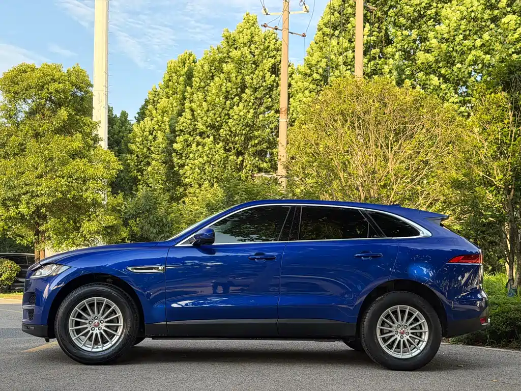Jaguar F-PACE 2019 — фото 10