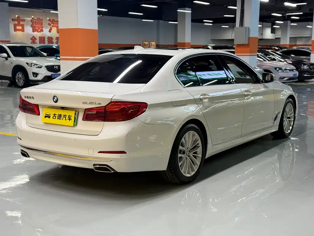 BMW 5 Series New Energy 2020