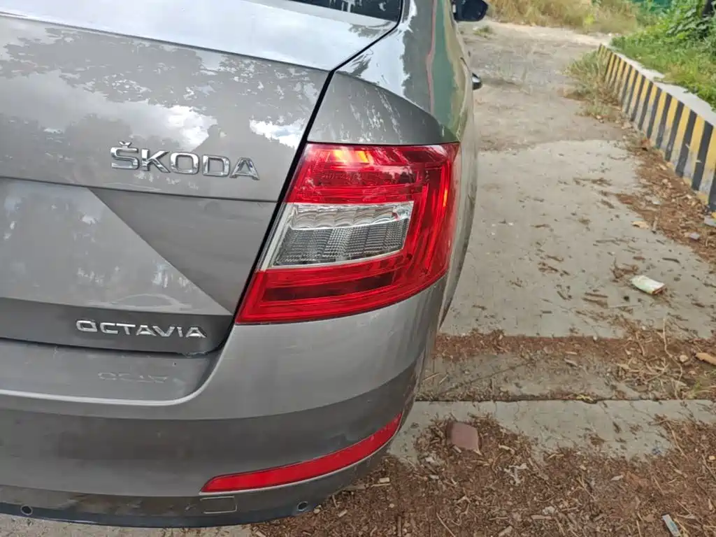 Skoda Octavia 2014 — фото 8