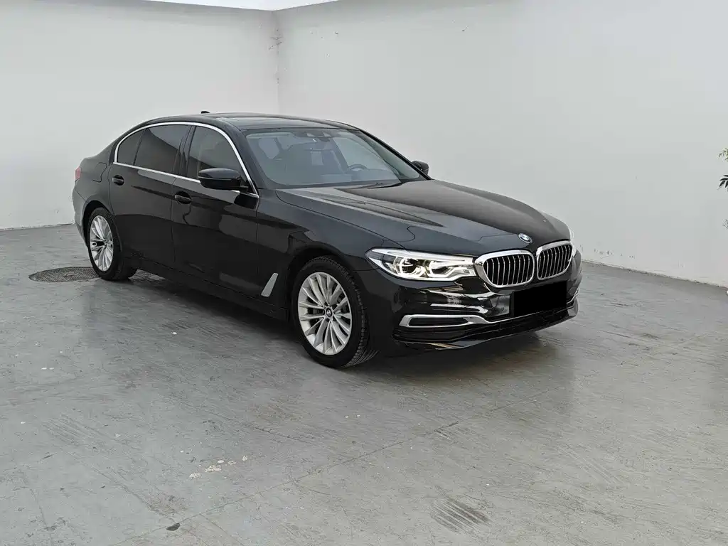 BMW 5 Series New Energy 2020