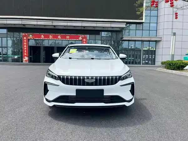 Geely Binrui 2024