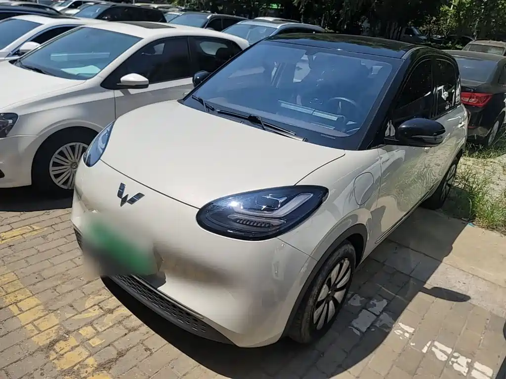 Wuling Bingo 2024