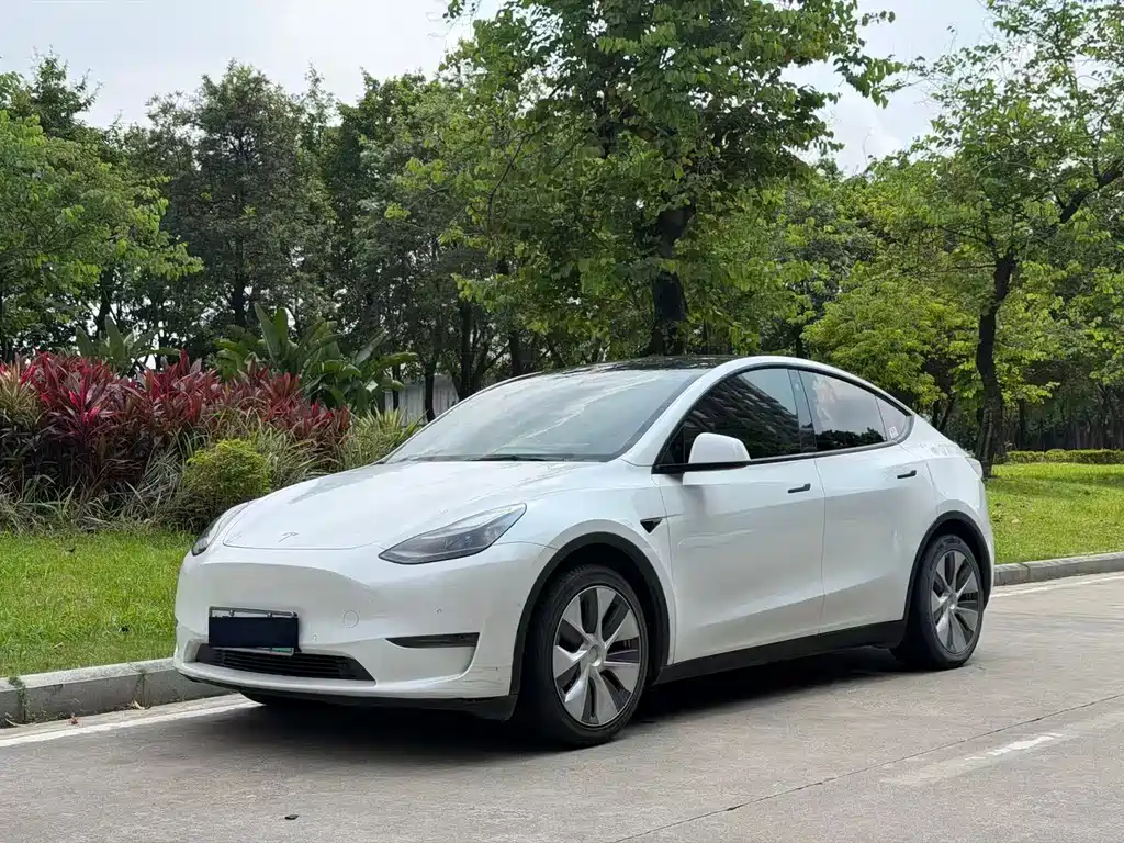Tesla Model Y 2021 — фото 1
