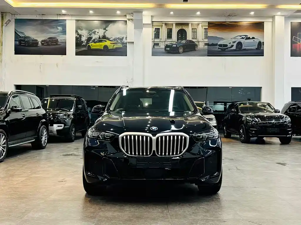 BMW X5 2025 — фото 2