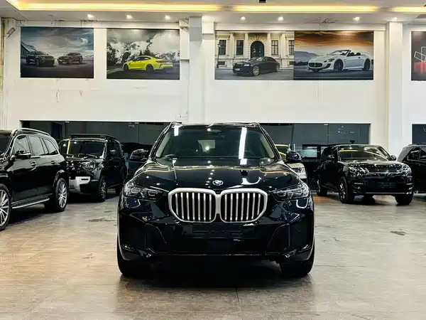BMW X5 2025