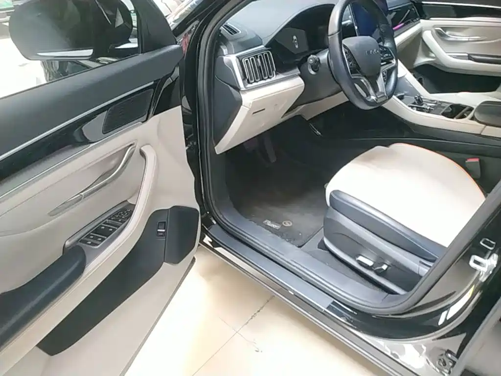 BYD PLUS New Energy 2023 — фото 16