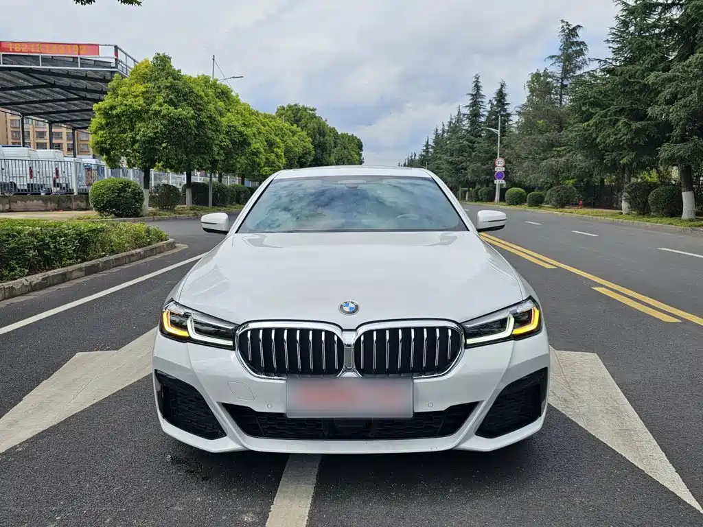 BMW 5 Series New Energy 2021 — фото 11