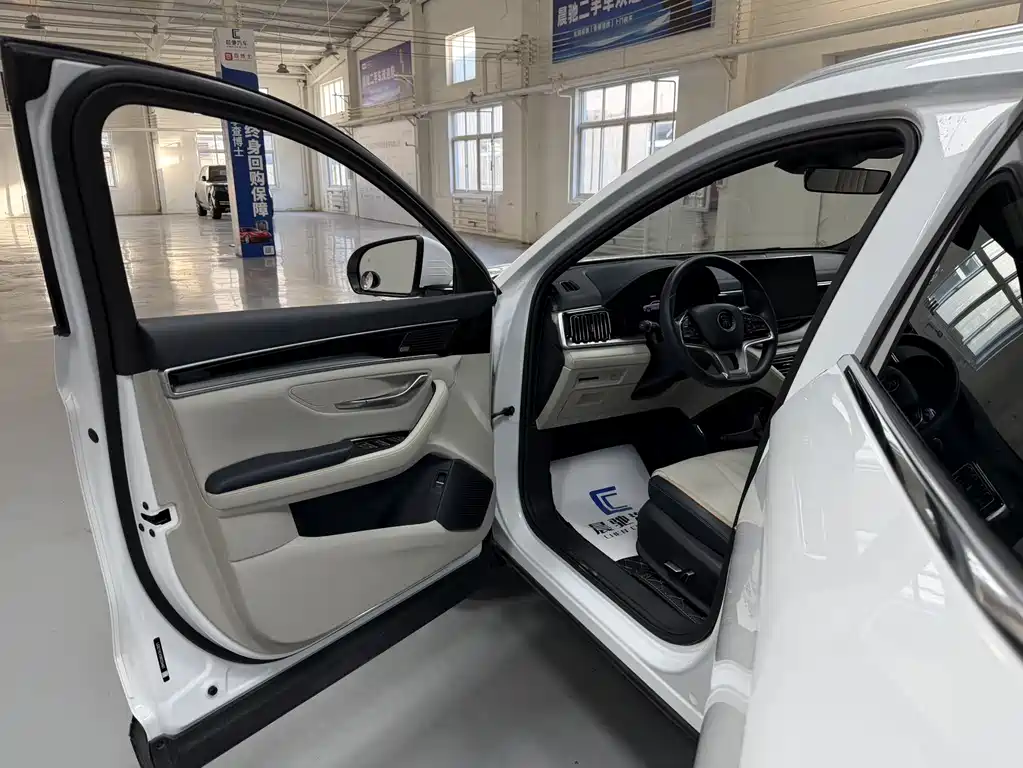 BYD PLUS New Energy 2022 — фото 11