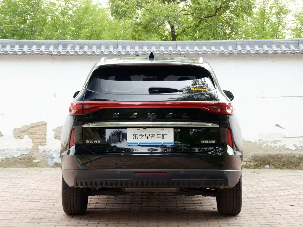 Haval H6 2023 — фото 13