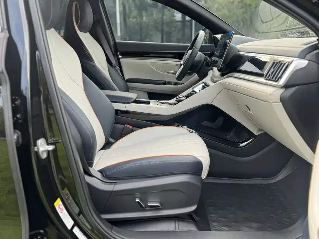 BYD Song PLUS New Energy 2021 — фото 25
