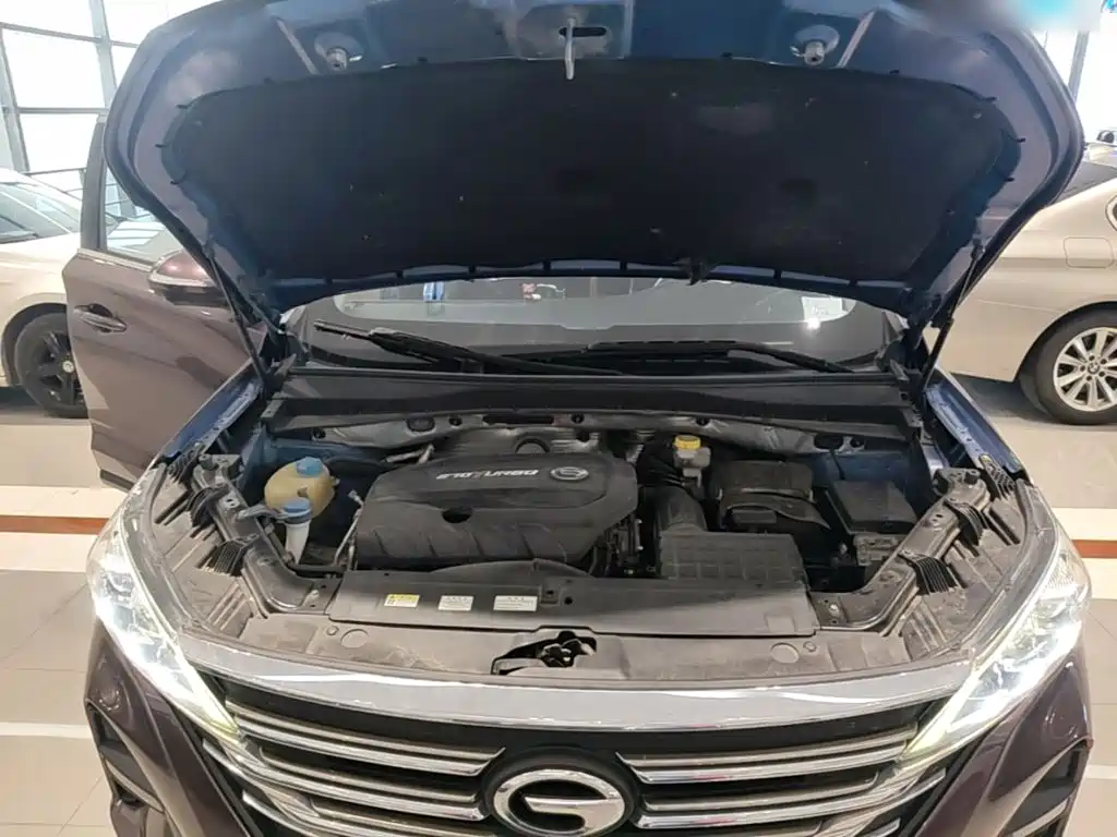 GAC Trumpchi GS5 2020 — фото 20