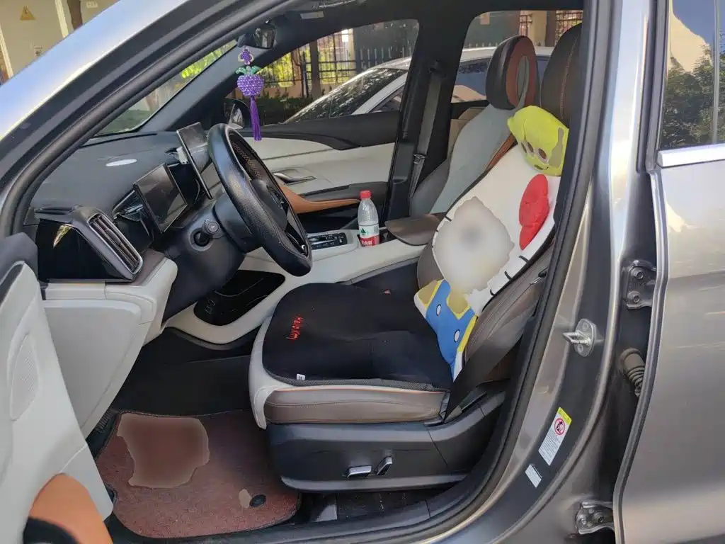 BYD Song Pro New Energy 2022 — фото 16