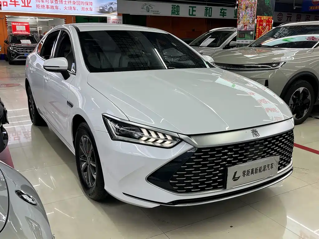BYD Qin PLUS 2024 — фото 1