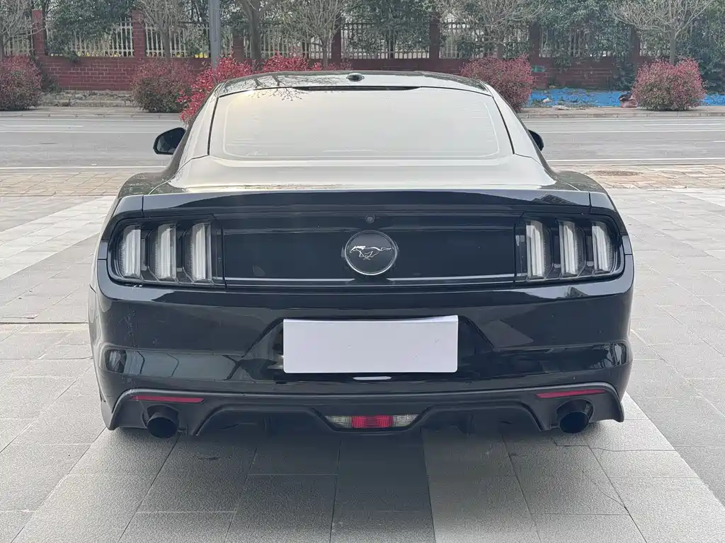 Ford Mustang 2019 — фото 8