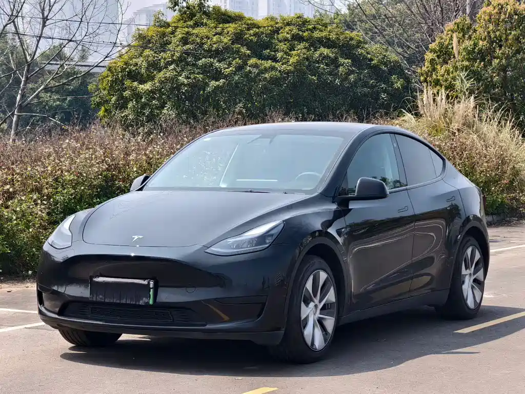 Tesla Model Y 2025 — фото 1