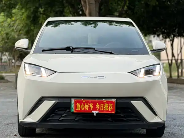 BYD Seagull 2024