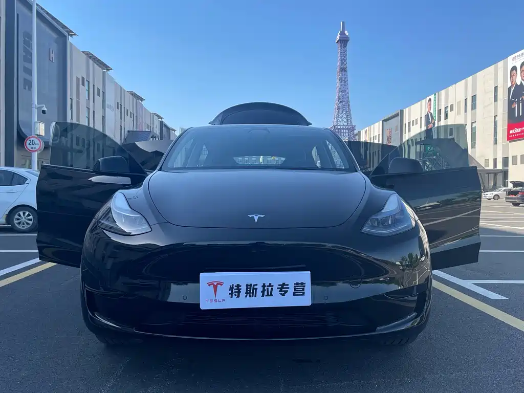 Tesla Model Y 2023 — фото 11