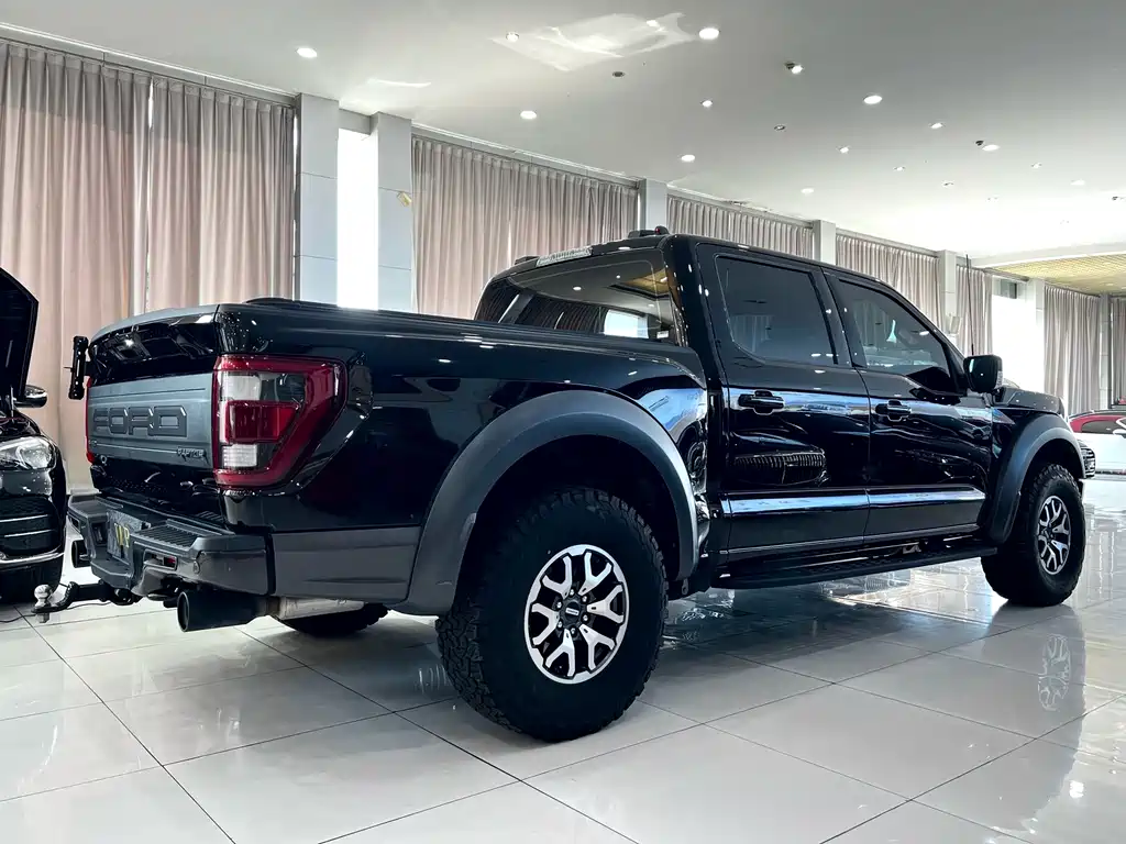 Ford F-150 Raptor 2023 — фото 4