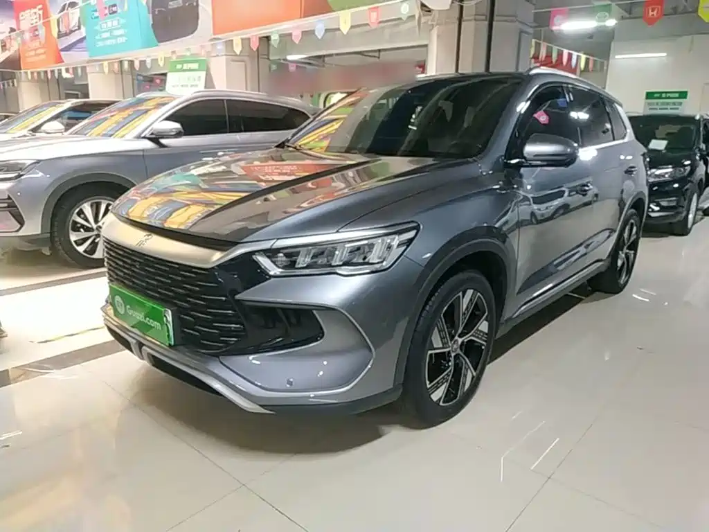 BYD Pro New Energy 2024 — фото 1