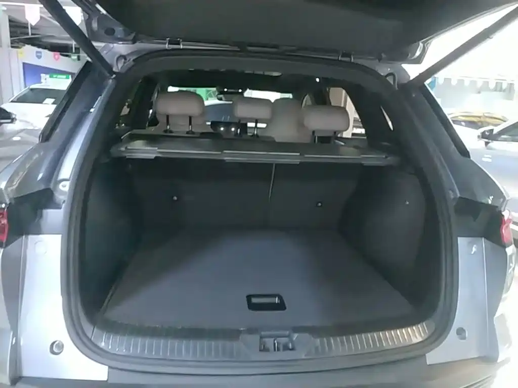 BYD Pro New Energy 2024 — фото 19