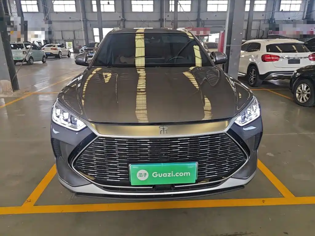 BYD PLUS New Energy 2022 — фото 3