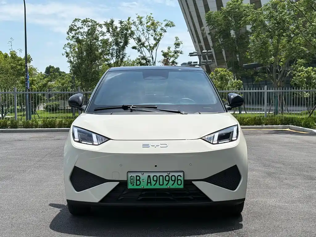 BYD Seagull 2025