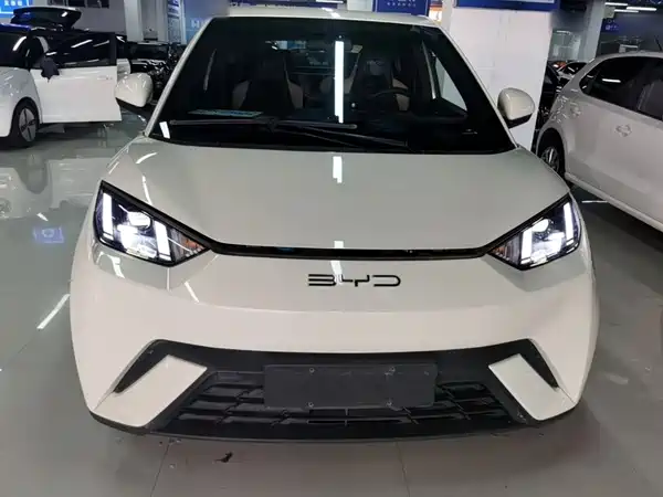 BYD Seagull 2024