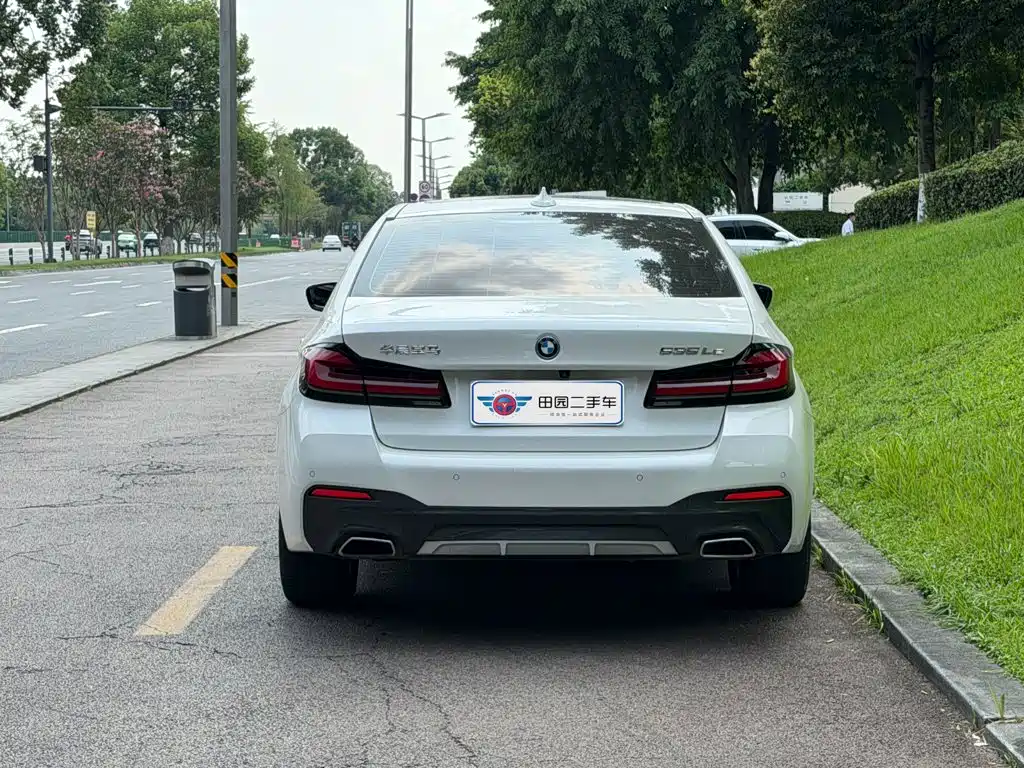 BMW 5 Series New Energy 2022