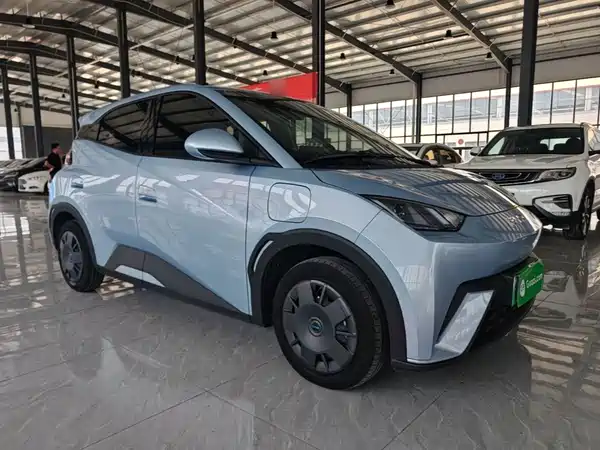 BYD Seagull 2024