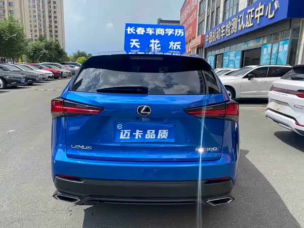 Lexus NX 2019