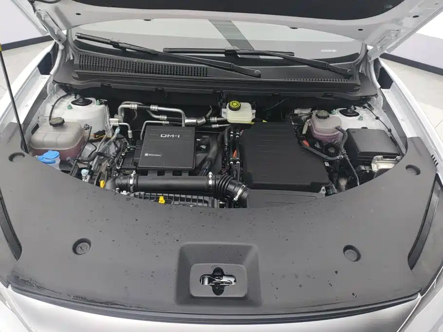 BYD Song Pro New Energy 2026 — фото 10