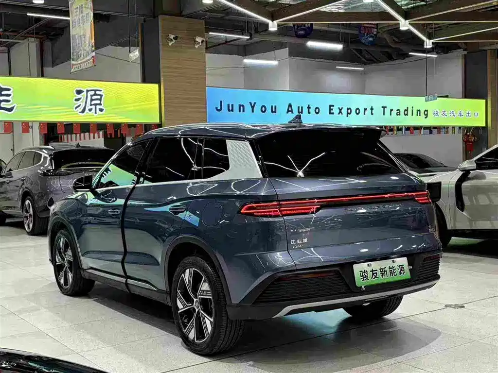 BYD Pro New Energy 2023 — фото 9