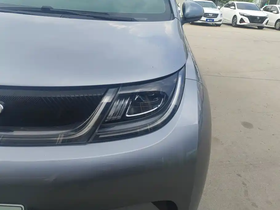 BYD Dolphin 2022