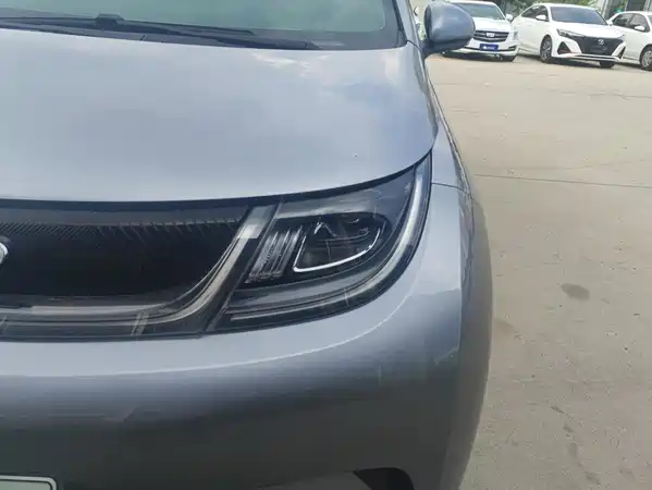 BYD Dolphin 2022