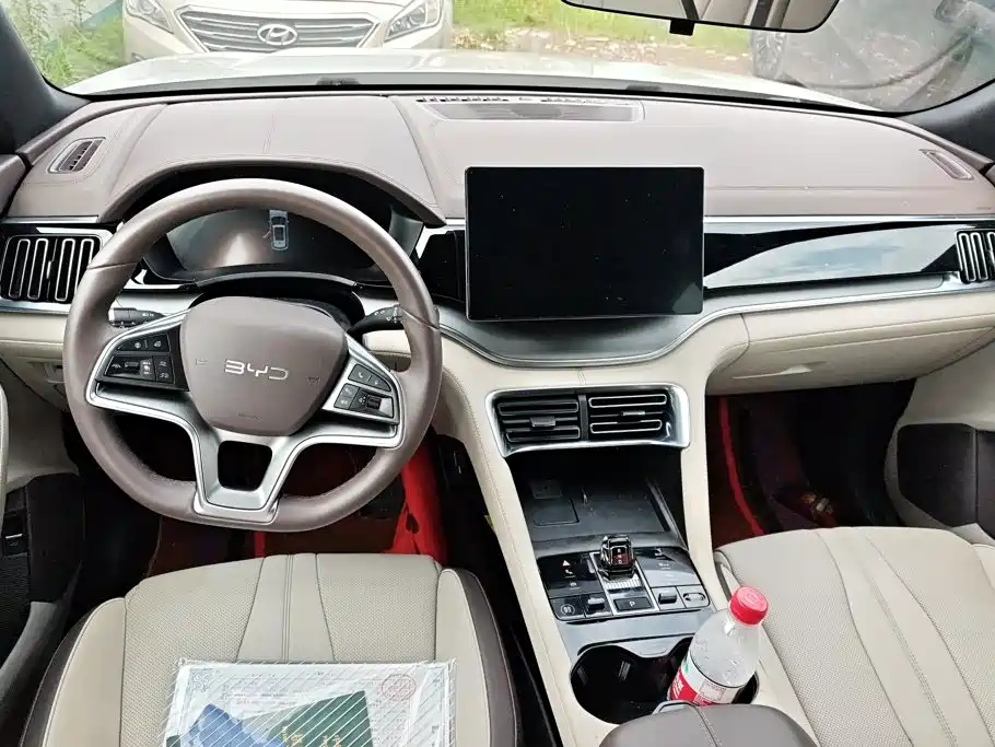 BYD Song PLUS New Energy 2025 — фото 12