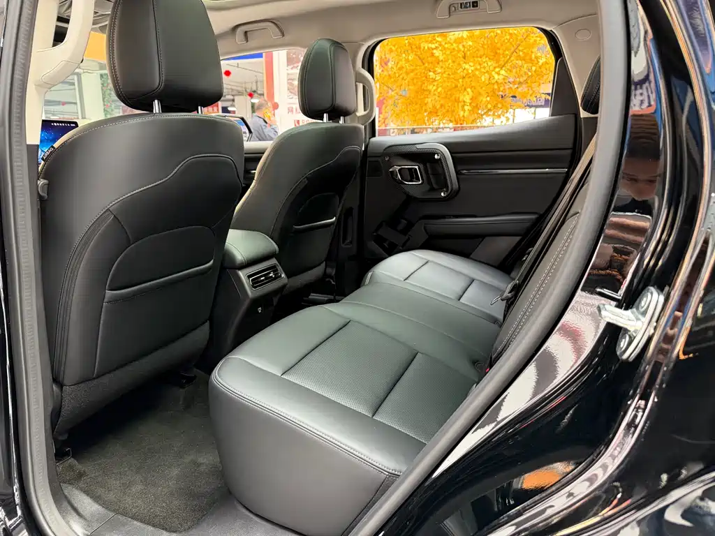 Haval Dargo PLUS EV 2024 — фото 10