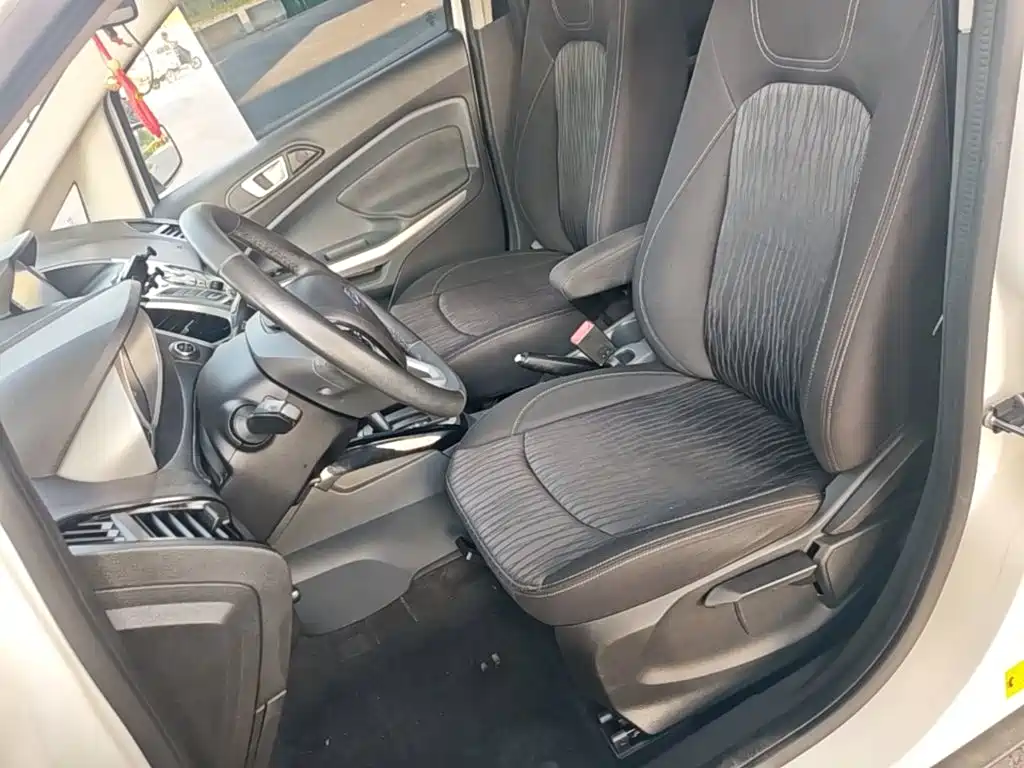 Ford Ecosport 2015 — фото 15