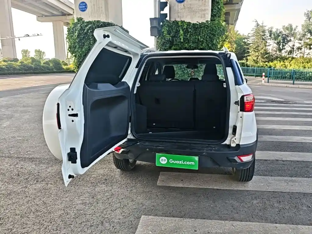 Ford Ecosport 2015 — фото 19