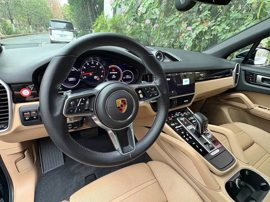 Porsche Cayenne 2019 — фото 14